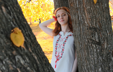 Similar image 20048059