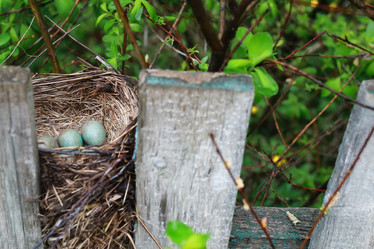 Similar image 20048120