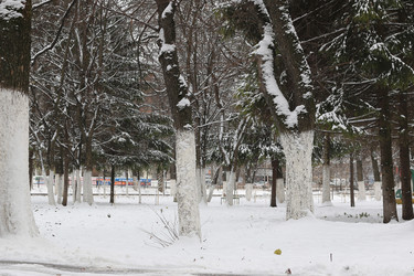 Similar image 20048132