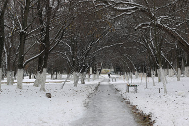 Similar image 20048136