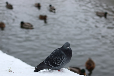 Similar image 20048153