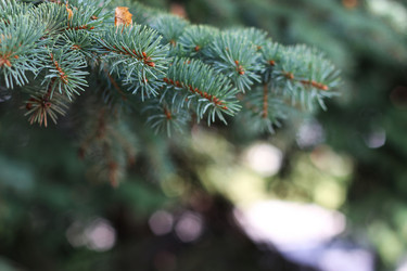 Similar image 20048226