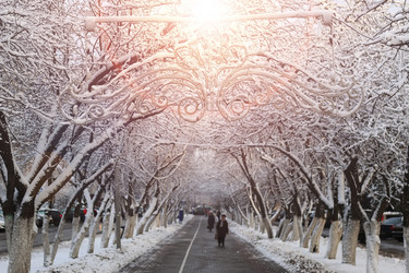 Similar image 20048244