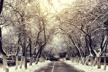 Similar image 20048256