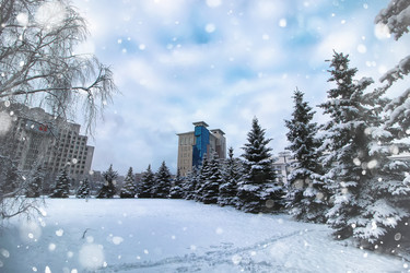 Similar image 20048268