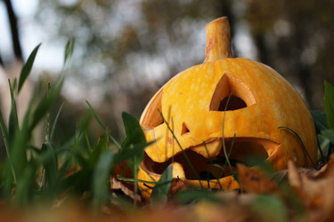 Similar image 20048270