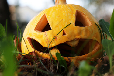 Similar image 20048271