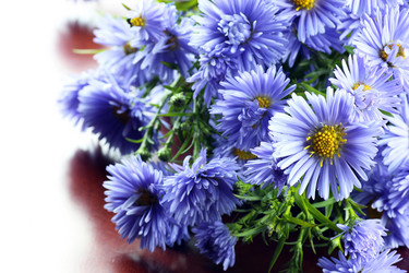 Similar image 20048330