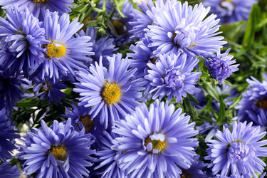 Similar image 20048331