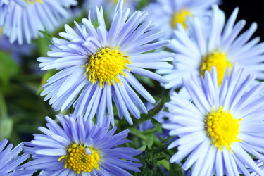 Similar image 20048343