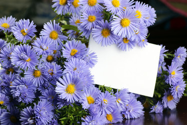 Similar image 20048347