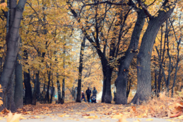 Similar image 20048356