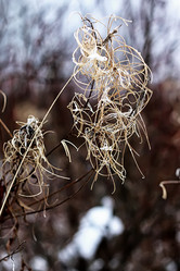 Similar image 20048360