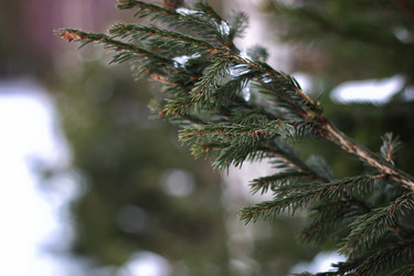 Similar image 20048364