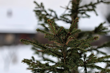 Similar image 20048366