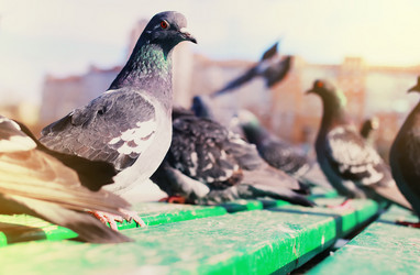 Similar image 20048378