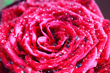 Similar image 20048385