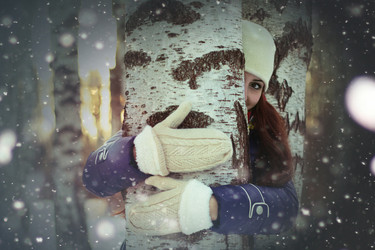 Similar image 20048390