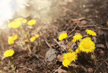 Similar image 20048398