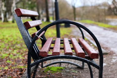 Similar image 20048431