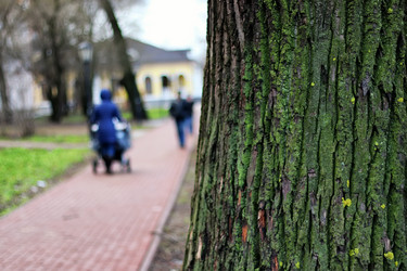 Similar image 20048433