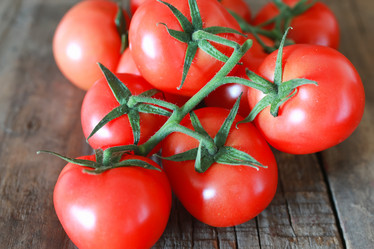 Similar image 20048495