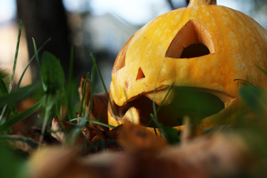 Similar image 20048497