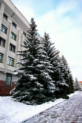 Similar image 20048499