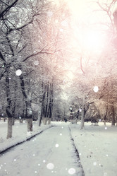 Similar image 20048508