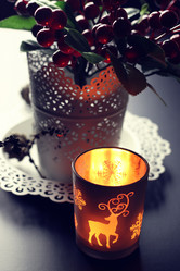 Similar image 20048524