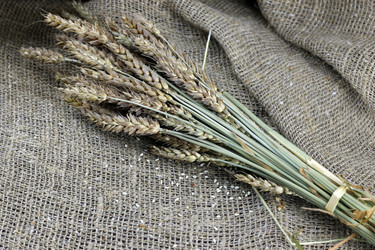 Similar image 20048551