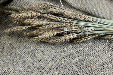 Similar image 20048552