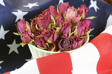 Similar image 20048616