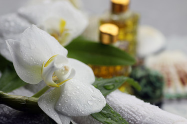 Similar image 20048635