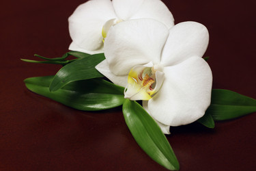 Similar image 20048656