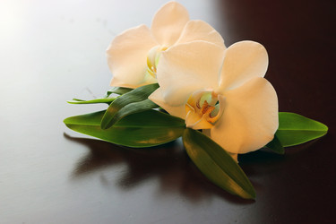 Similar image 20048658