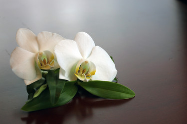 Similar image 20048659