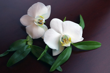 Similar image 20048660