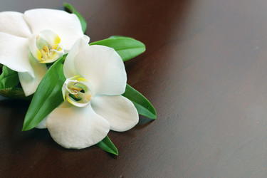 Similar image 20048661