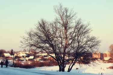 Similar image 20048715