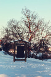 Similar image 20048730