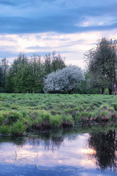 Similar image 20048745