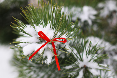 Similar image 20048767