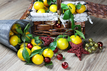 Similar image 20048771