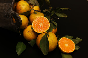 Similar image 20048774