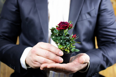 Similar image 20048811