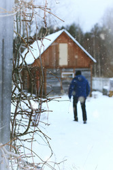 Similar image 20048828