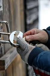 Similar image 20048832