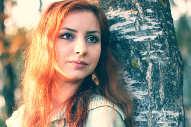 Similar image 20048879