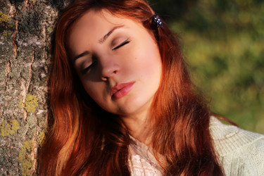 Similar image 20048881